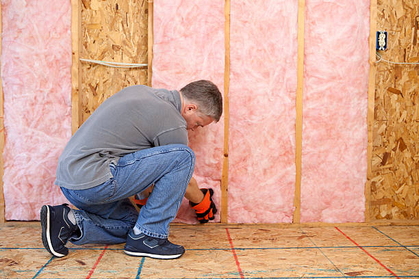 Best Types of Insulation in Patton Village, TX