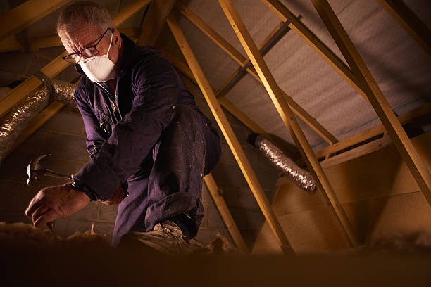 Best Insulation for Specific Applications in Patton Village, TX